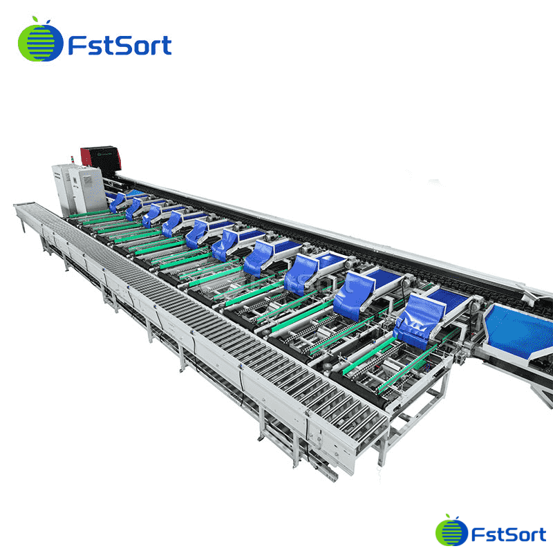 images/1770953126221Guava Sorting.png